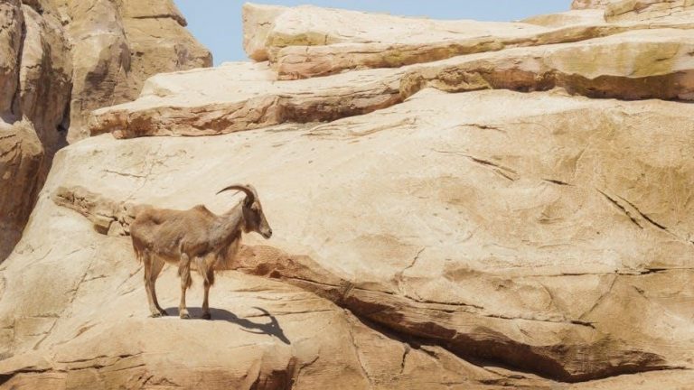 hardie’s versilux asbestos pdf